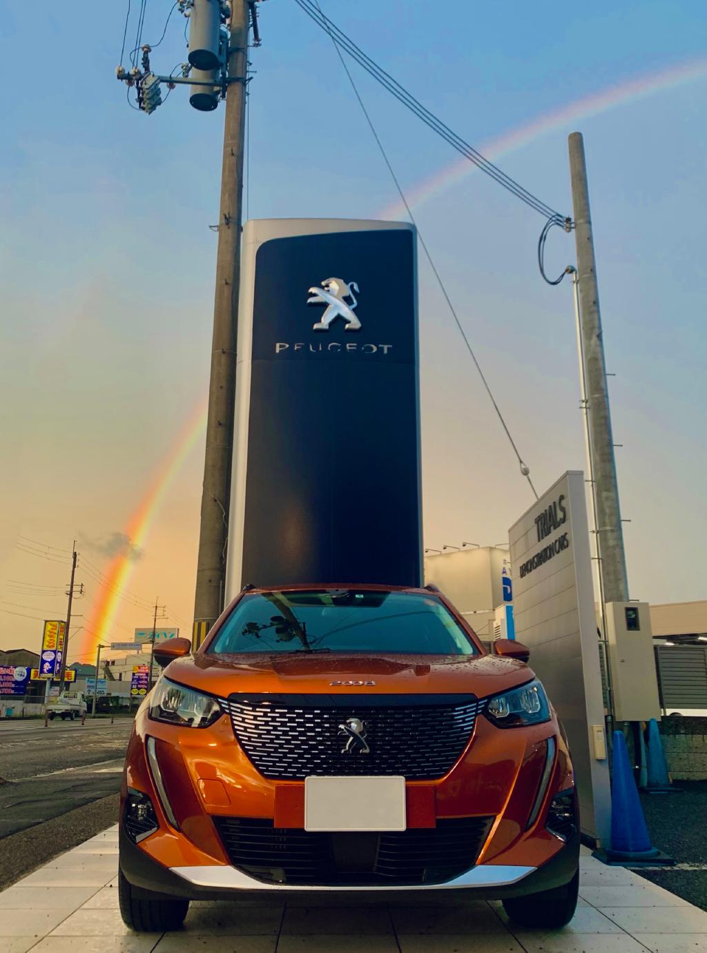 雨上がりに…✨