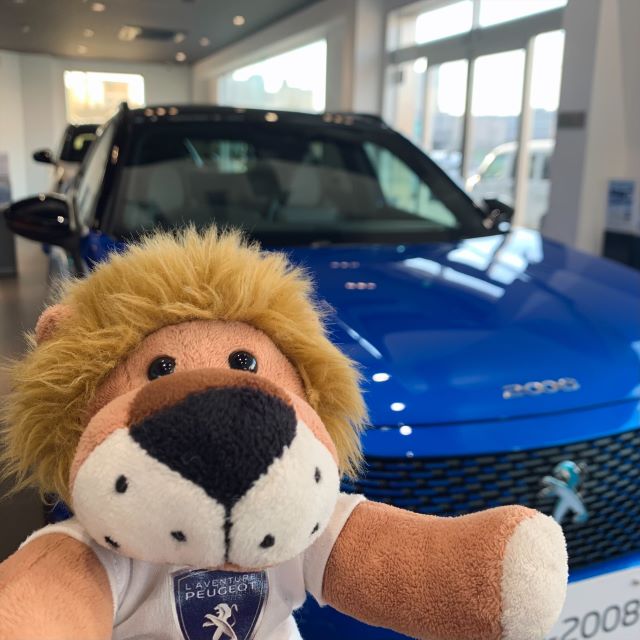 定休日のお知らせ