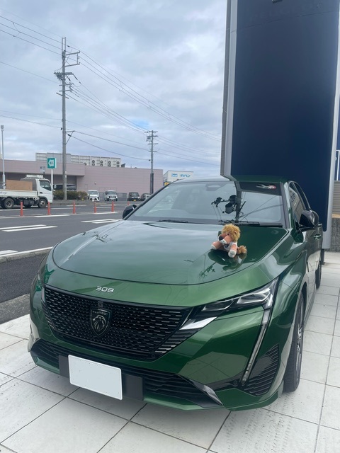 大人気〚308〛ご試乗いただけます🚙💨