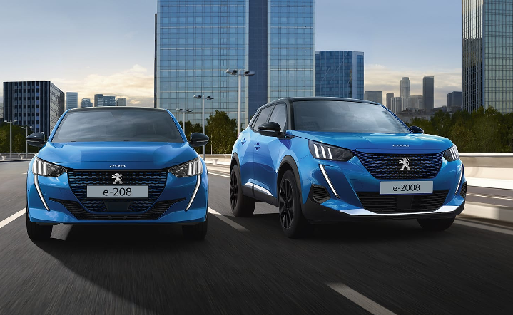 EVモデルの頭金サポート⚡