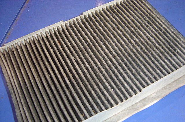 春です！花粉です！！