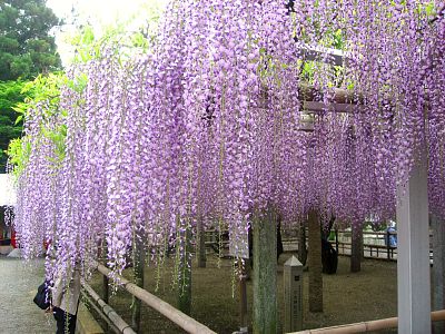 休日の出来事