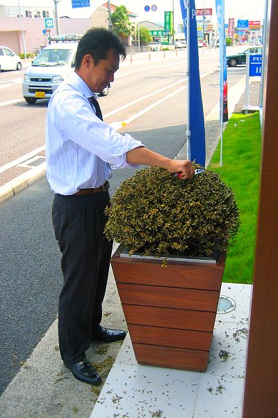 すっきりと散髪