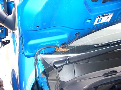 こんなところに？？