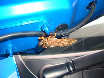 こんなところに？？