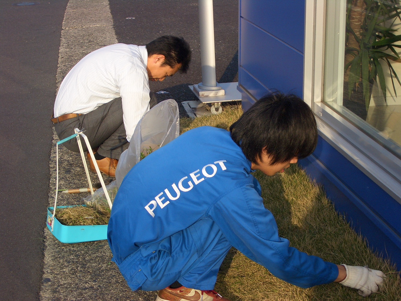 暖かかったので