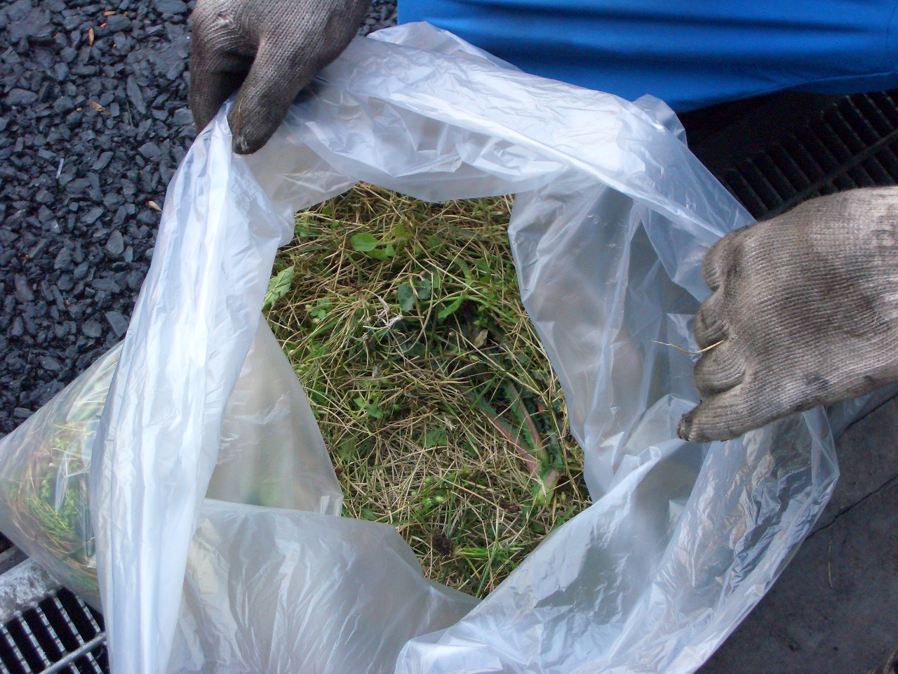 暖かかったので