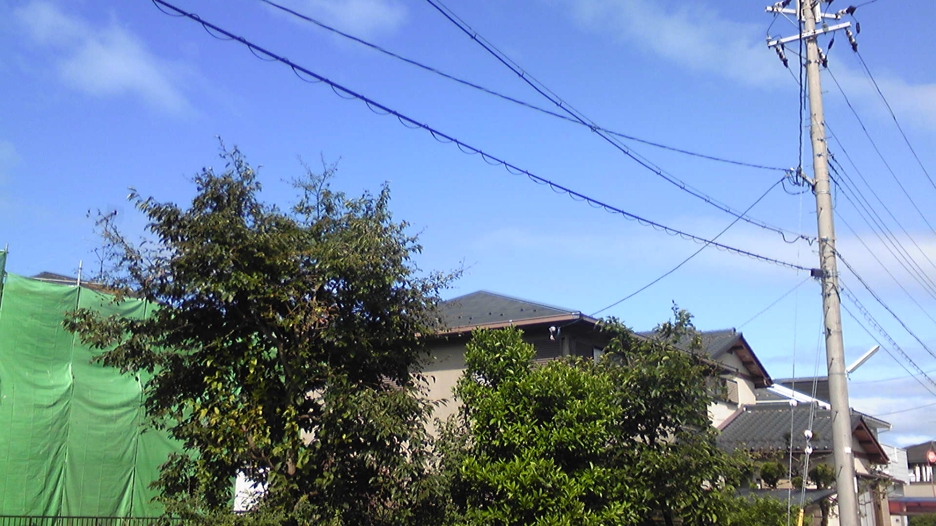 夏の空