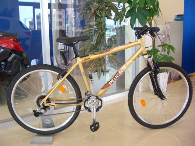 「早いもの勝ち」企画