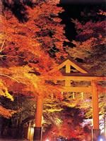 無料点検　実施中！