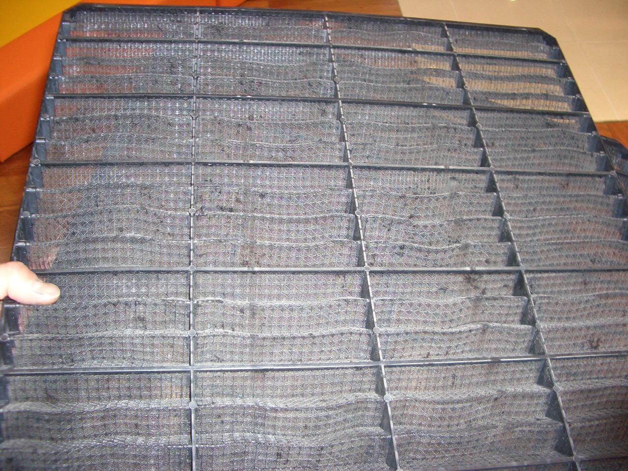 ショールームにて