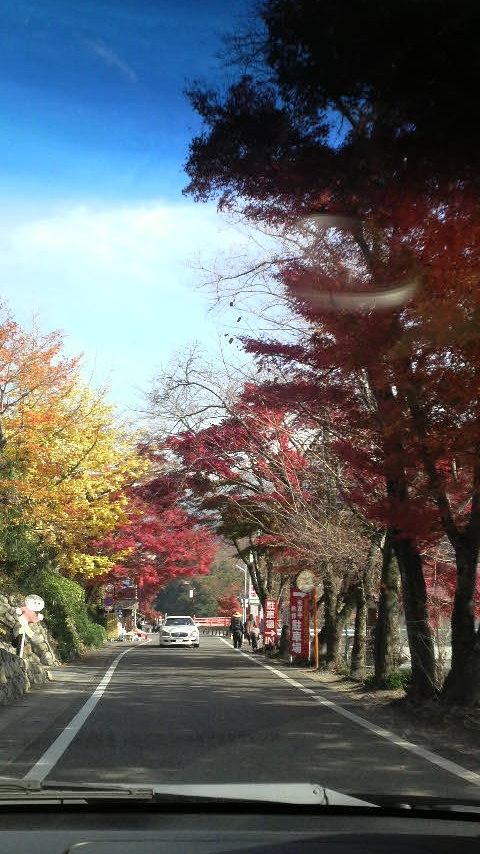 紅葉