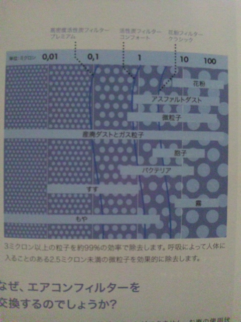 車のマスク( ^  □　^ )