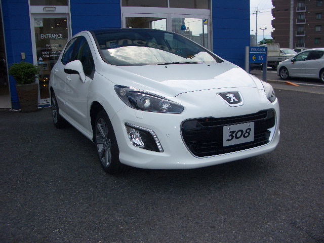 新顔　入荷です