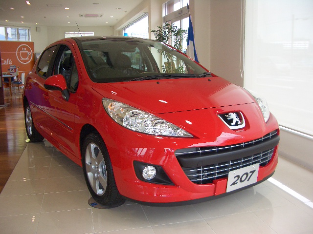 新顔　入荷です