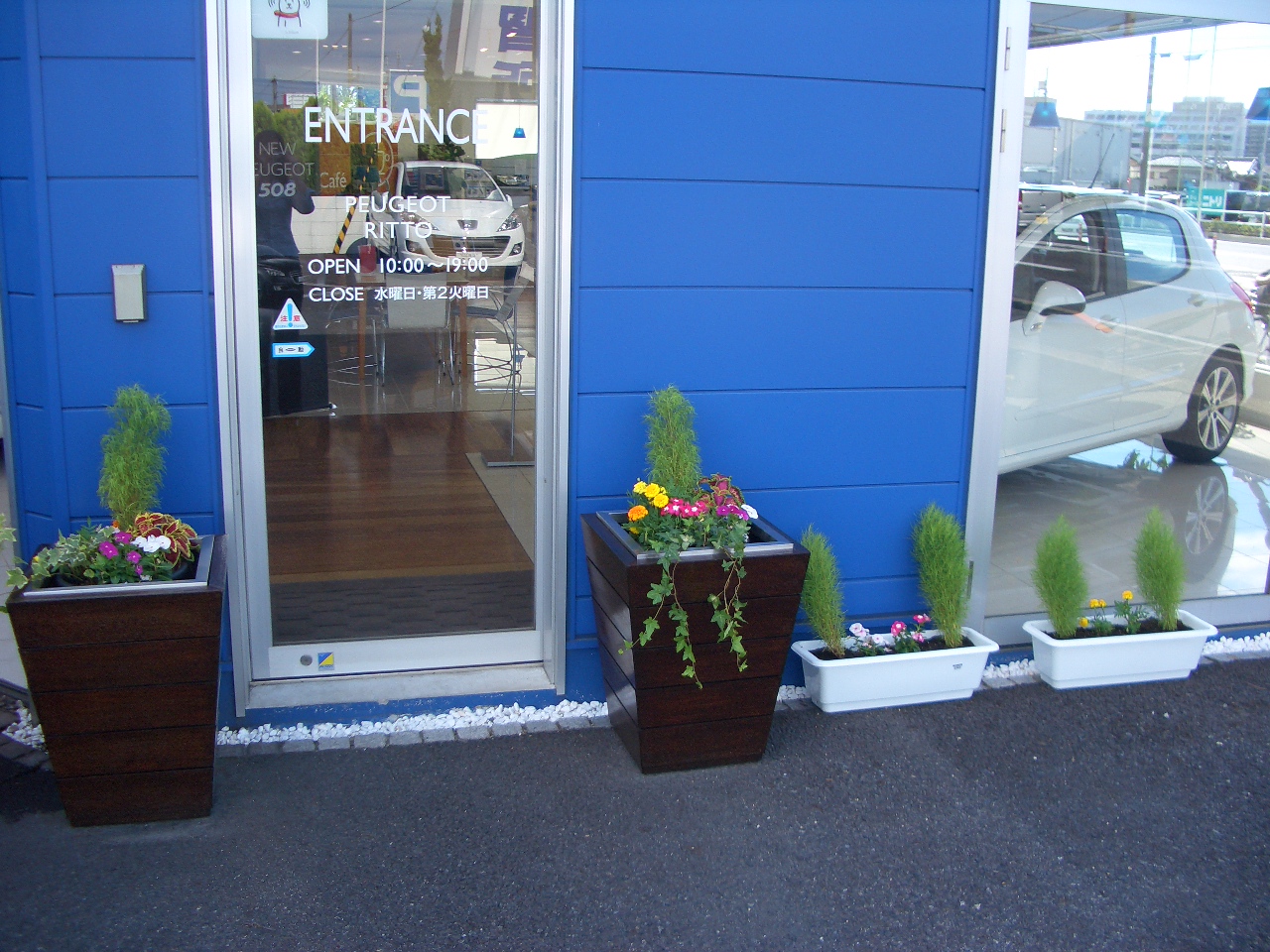 園芸部復活！！