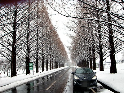 すっかり雪景色