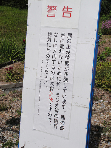 戦国の歴史に触れてきました