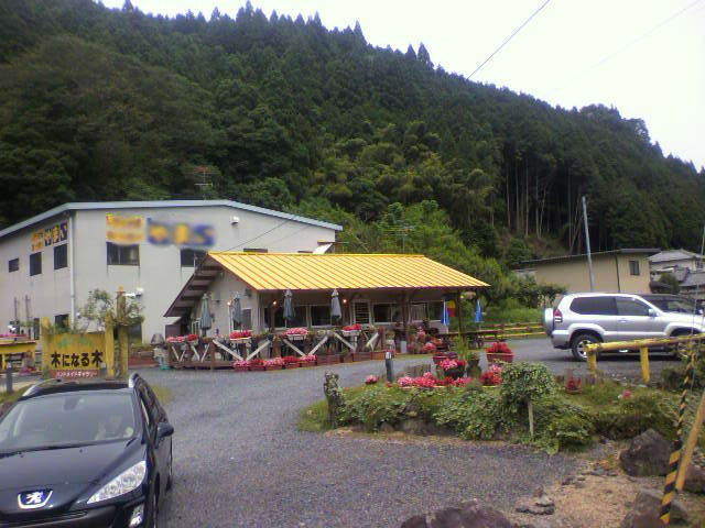 ドライブルート