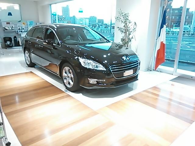５０８ＳＷ　ペルラネラブラック　入荷