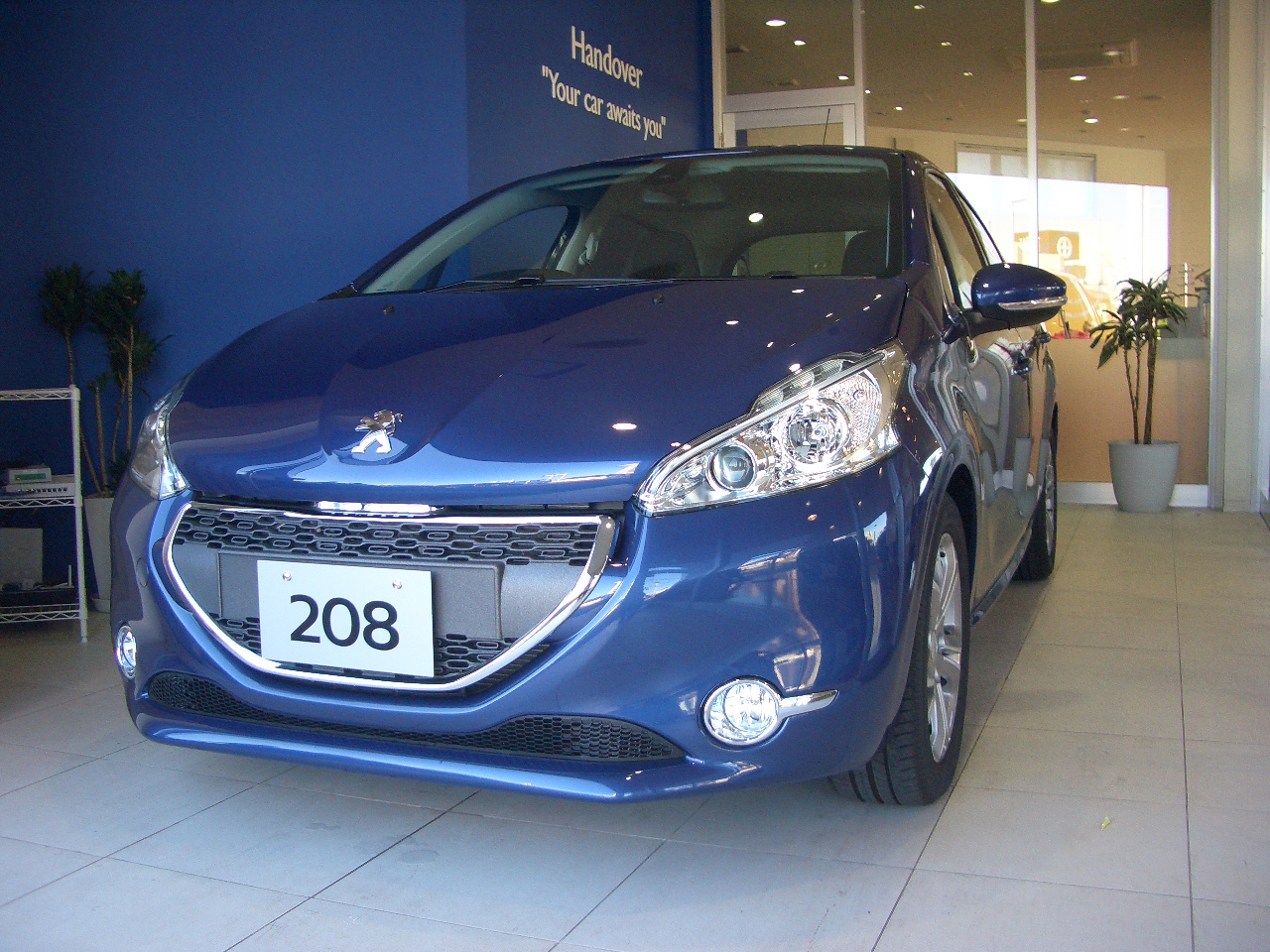 new  208  展示中