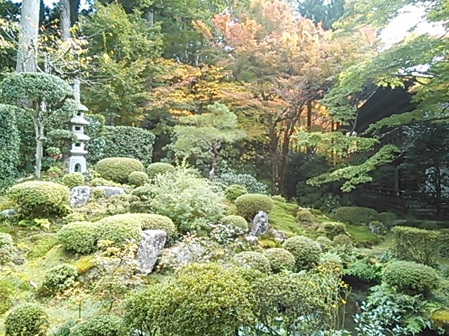 ちょっと早かった・・・