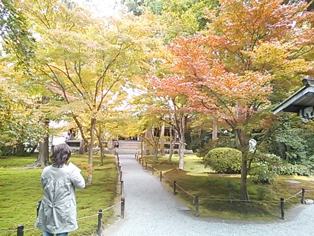 ちょっと早かった・・・