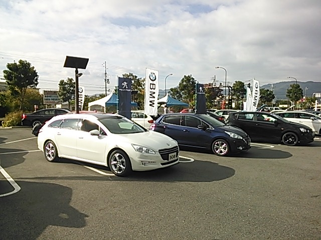 輸入車ショー　開催中