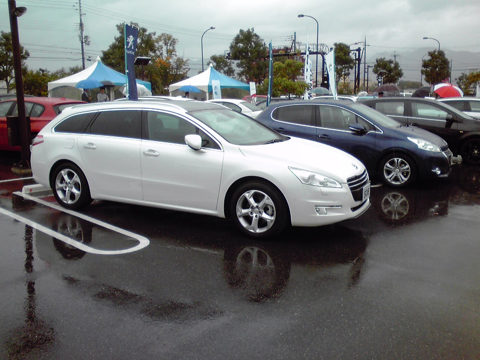 輸入車ショー　2日目