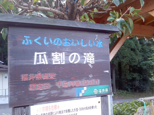 夏は海でしょ