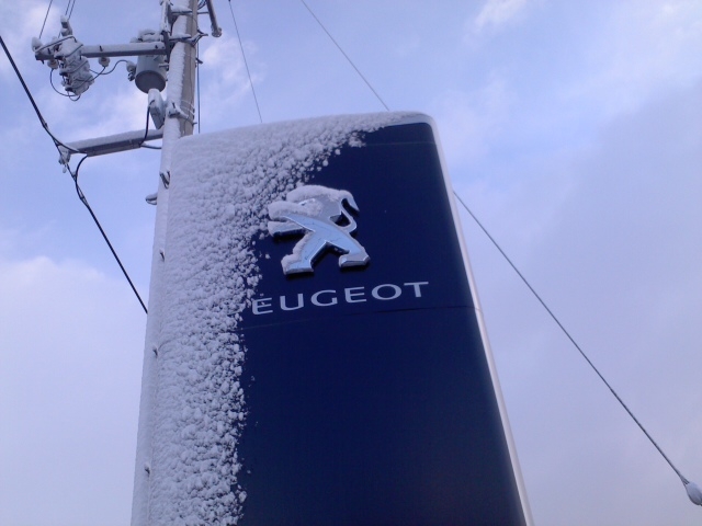 ライオンが・・・