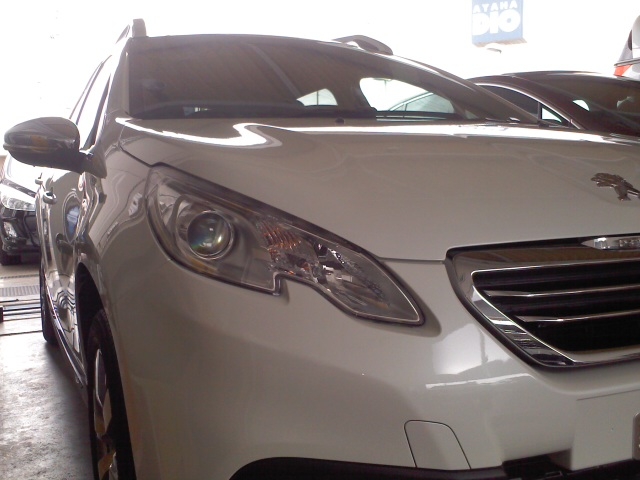 2008入荷しました