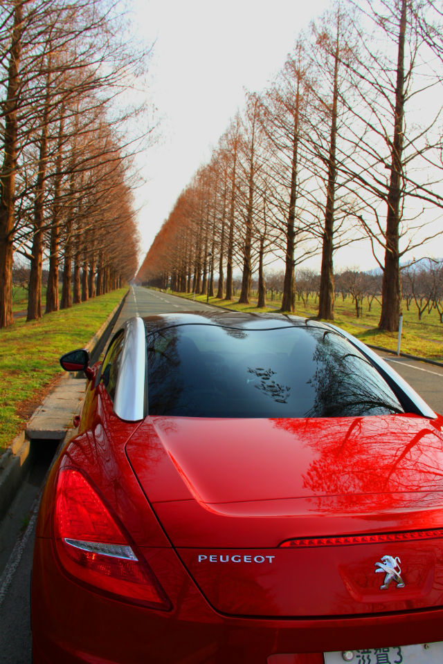 景色に映えるRCZ