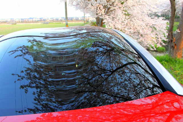 満開の桜とRCZ