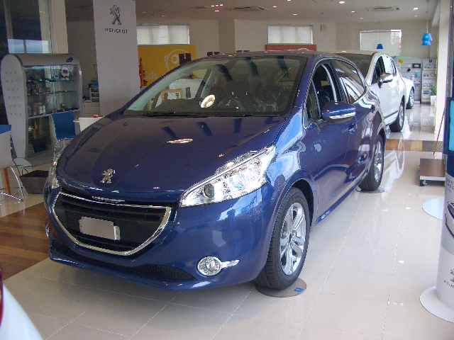 208　カラドブルー　入荷