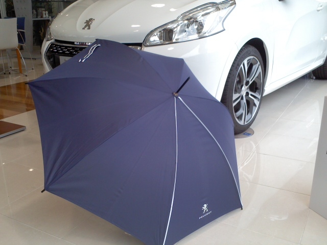 今日は、雨ですが