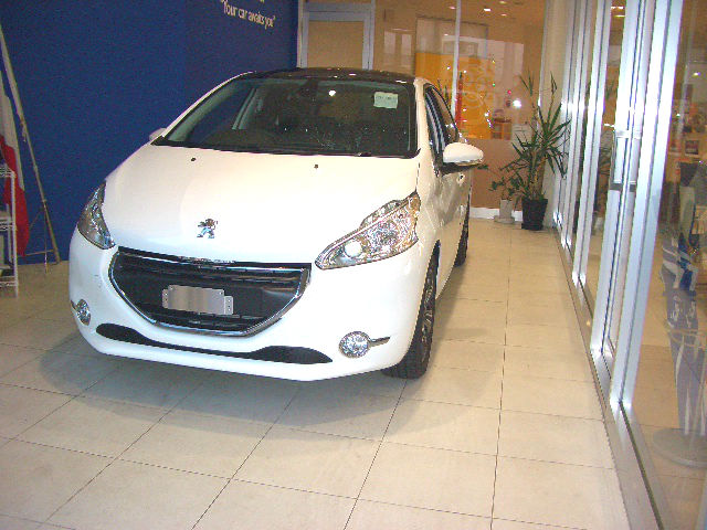 続々入荷してます