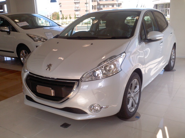 208に新色が追加されました