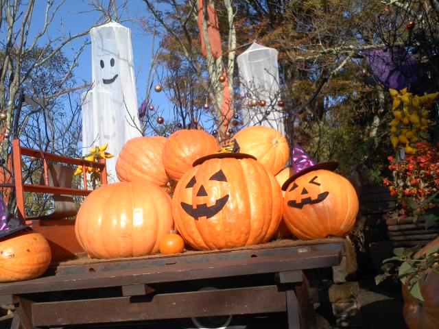 比叡山ガーデンミュージアム