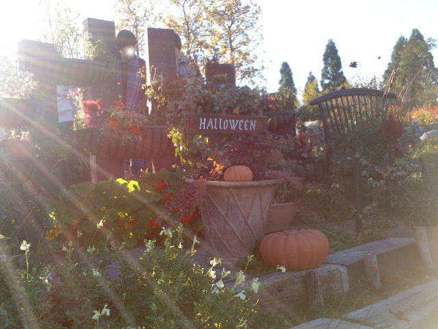 比叡山ガーデンミュージアム