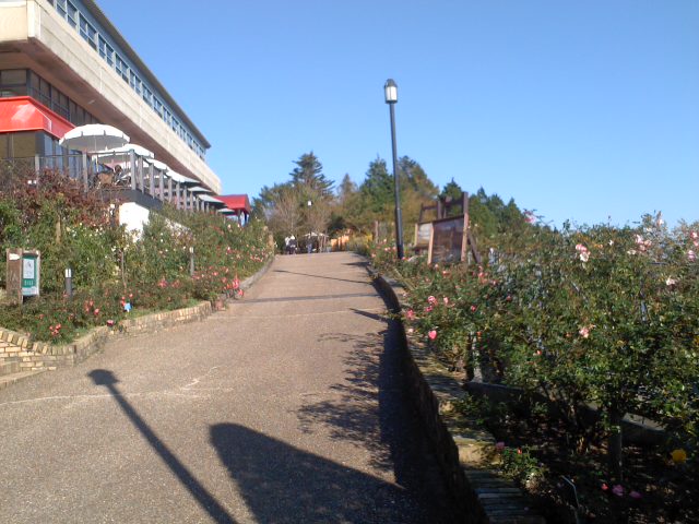 比叡山ガーデンミュージアム