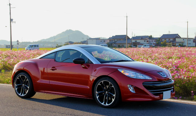 コスモス畑にて