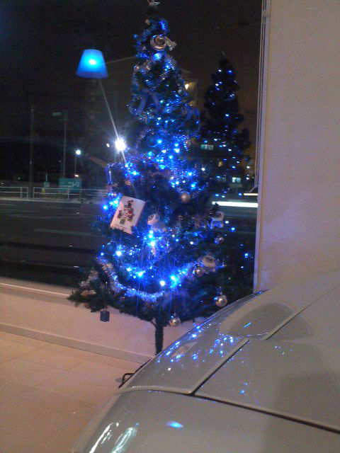 ちょっと早いですが、クリスマスツリーを・・・