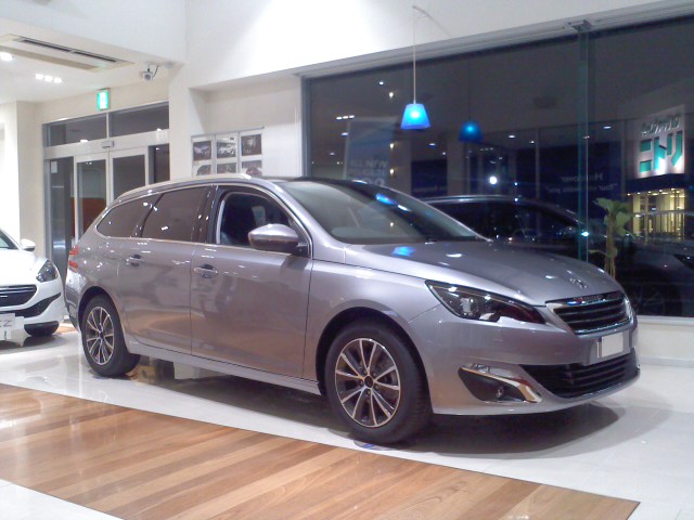 308SWもご覧いただけます