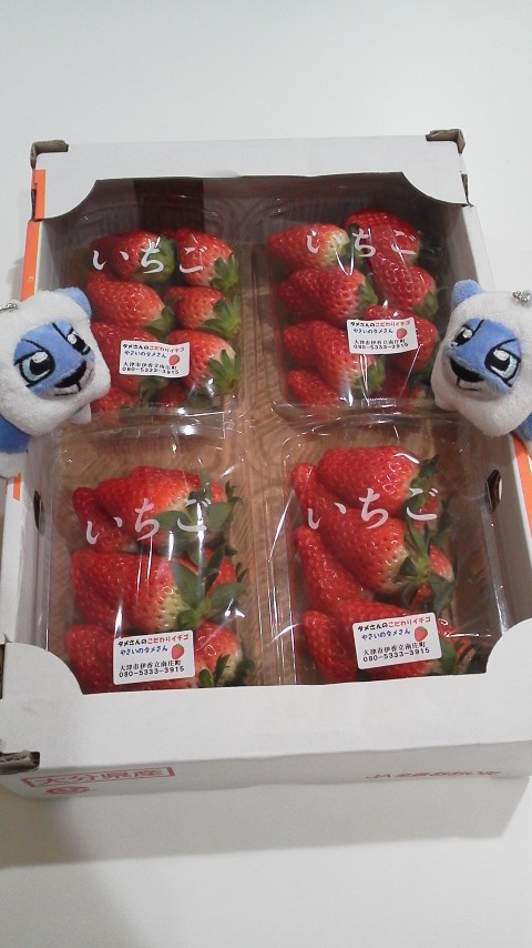 S様　ありがとうございます