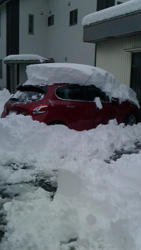 埋まってる！！