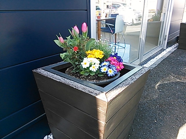 春っぽくしてみました