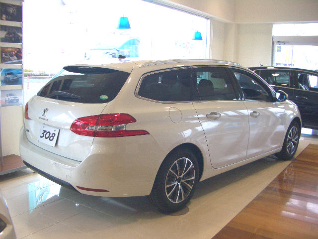 308SW　パールホワイト　入荷