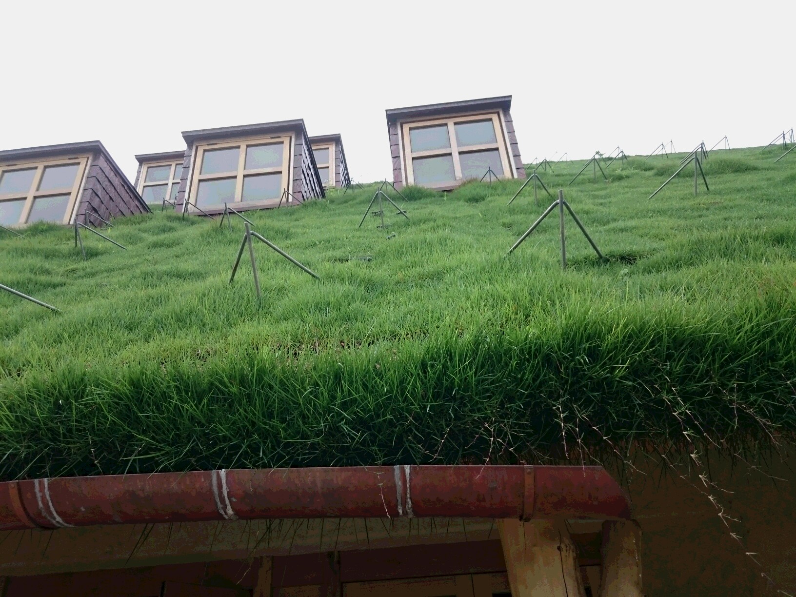 ラコリーナ近江八幡