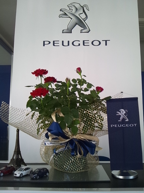 ☆フランスday☆